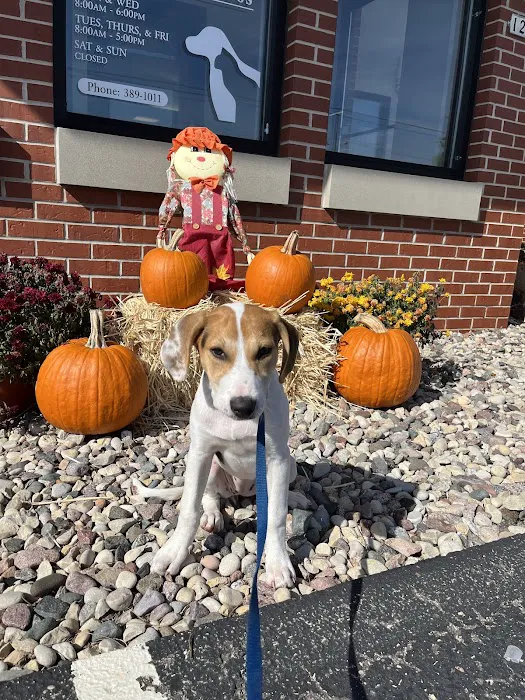 Castlerock Veterinary Hospital Picture 4