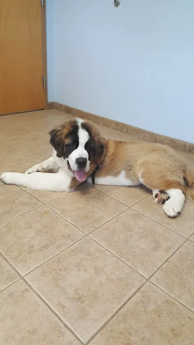 Castlerock Veterinary Hospital Picture 1