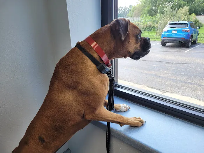 Castlerock Veterinary Hospital Picture 6