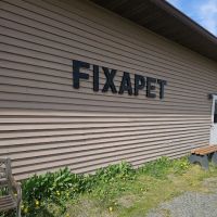 FixAPet ico