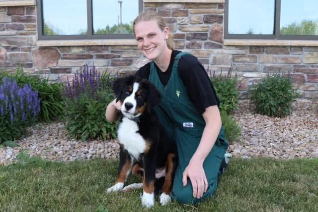 Marshfield Veterinary Service Picture 4