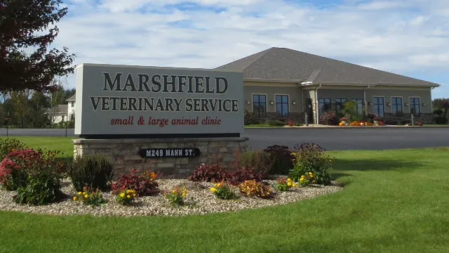 Marshfield Veterinary Service Picture 9