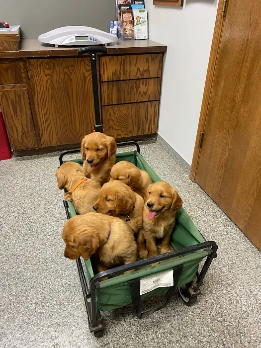 Athens Veterinary Service Picture 1