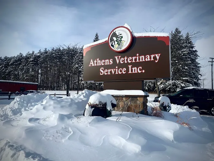 Athens Veterinary Service Picture 6