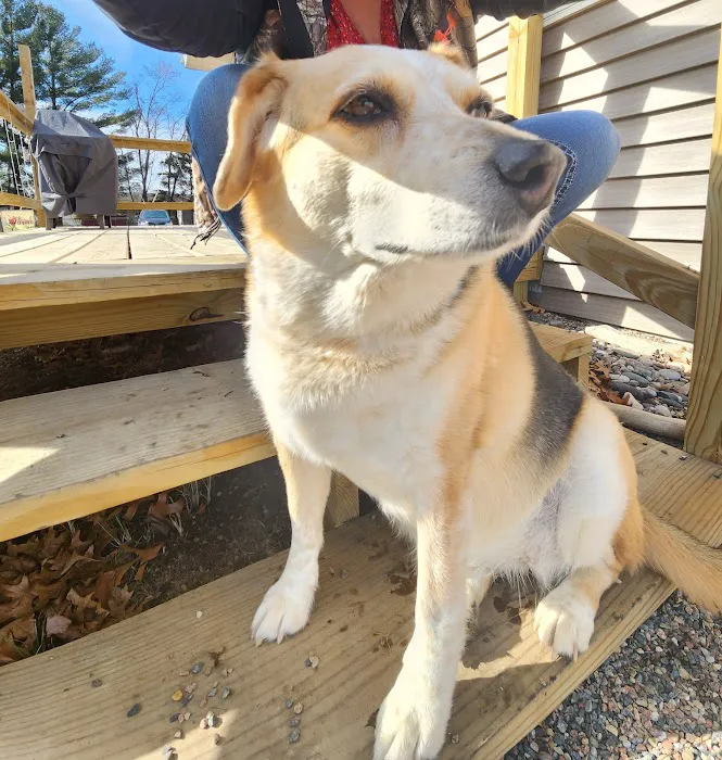 Blue Skies Large & Small Animal Clinic LLC Picture 5