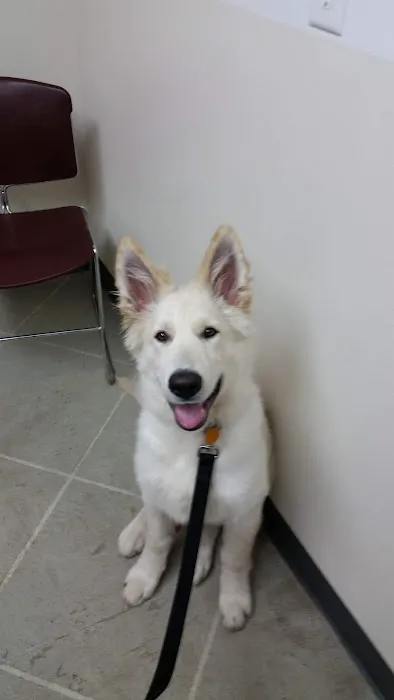 Stratford Veterinary Clinic Picture 8