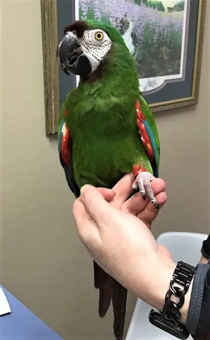 Wildwood Animal Hospital & Clinic Picture 2