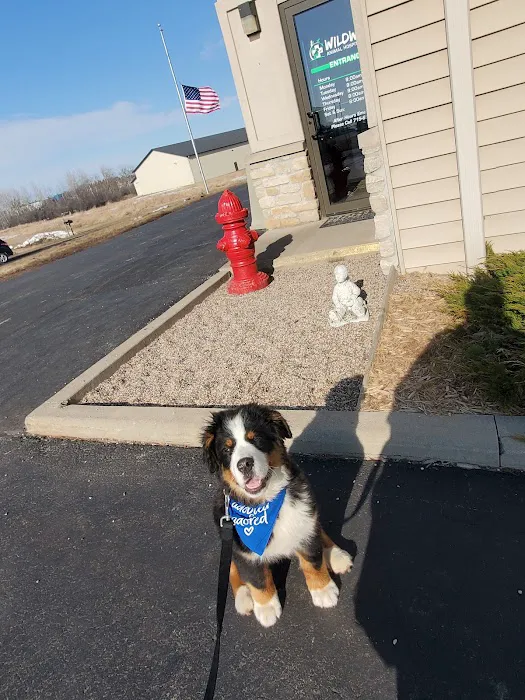 Wildwood Animal Hospital & Clinic Picture 9