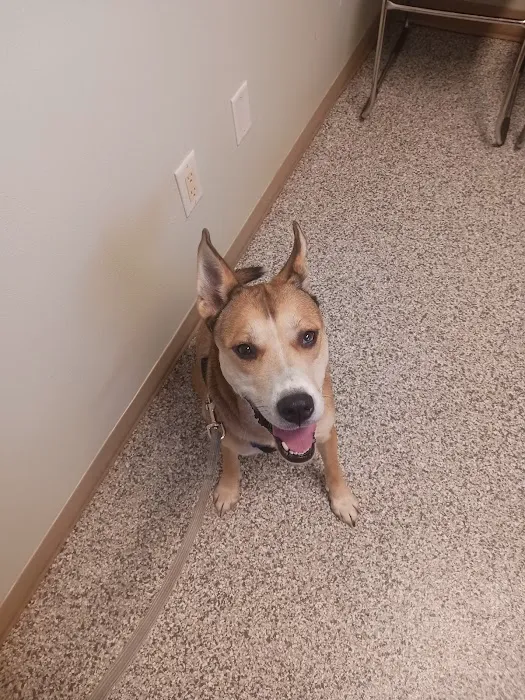 Hometown Veterinary Clinic Picture 1