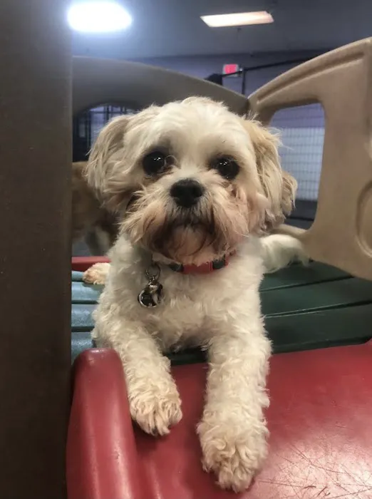 Best Friends Pet Clinic LLC Picture 4