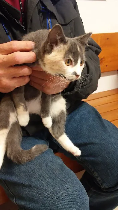 Van Loon Animal Hospital Picture 6