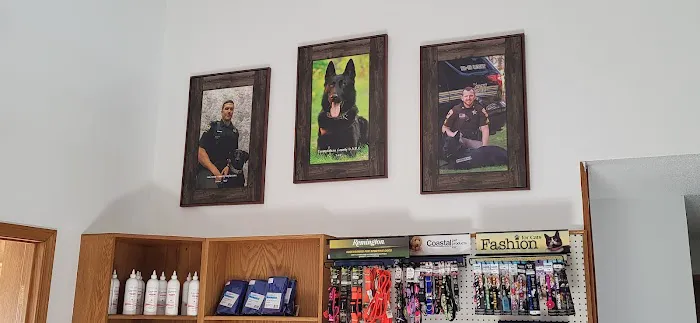 Wisconsin Veterinary Orthopedics Picture 2