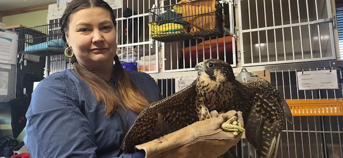 Wisconsin Veterinary Orthopedics Picture 6
