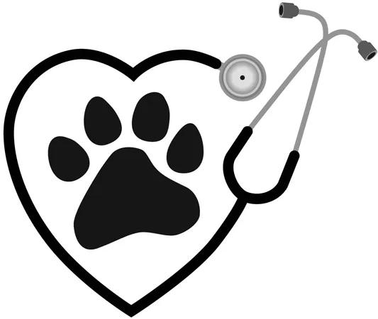 Root River Veterinary Center Picture 6