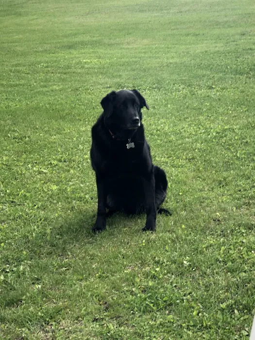 Root River Veterinary Center Picture 7