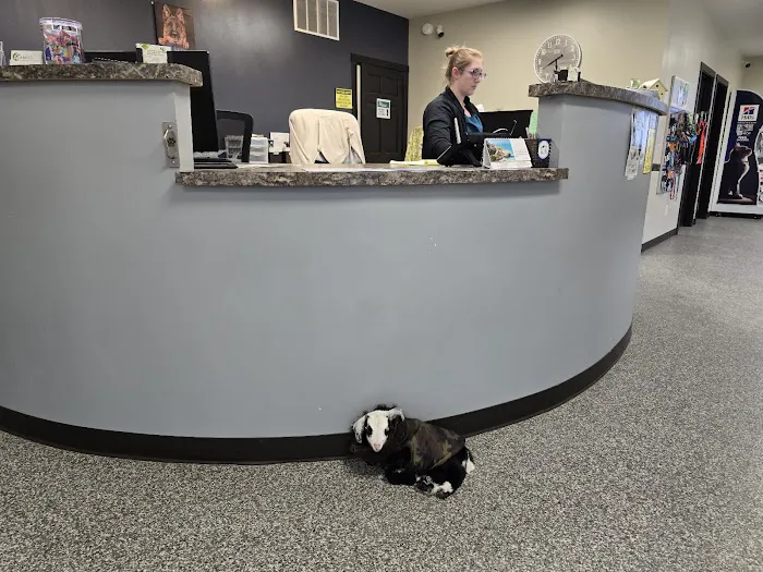 Spring Valley Vet Clinic Picture 2