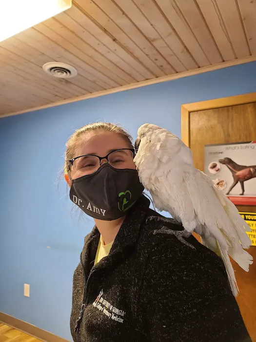 Spring Valley Vet Clinic Picture 9