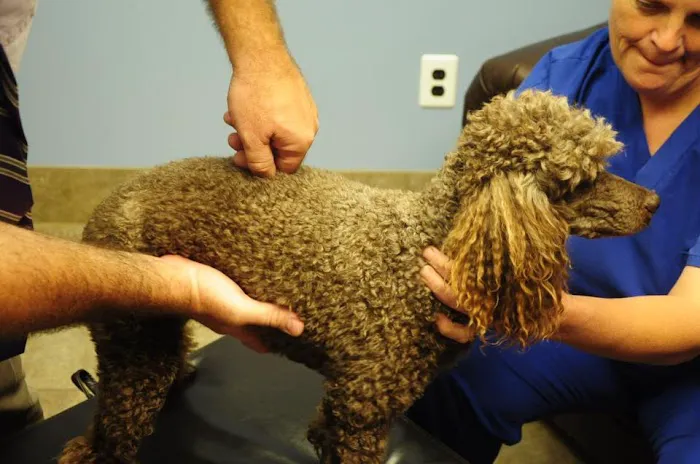 Winona Veterinary Hospital Picture 4