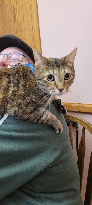 Pet Medical Center of Winona Picture 1