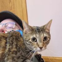 Pet Medical Center of Winona ico