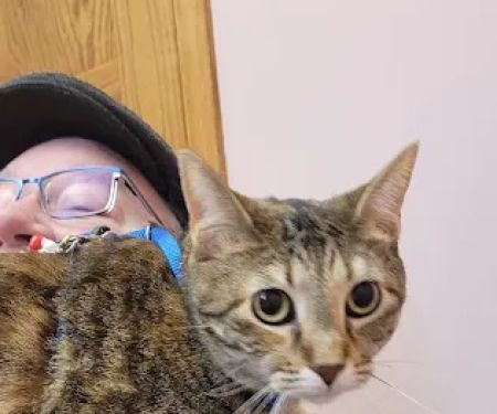 Pet Medical Center of Winona
