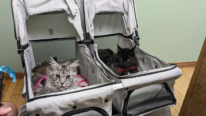 Pet Medical Center of Winona Picture 5