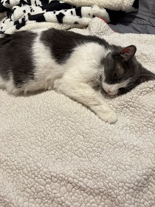 Pet Medical Center of Winona Picture 8