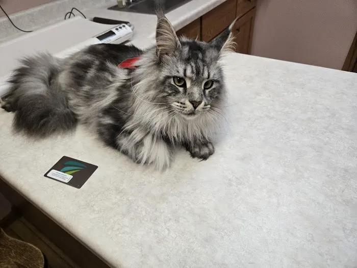 Pet Medical Center of Winona Picture 7