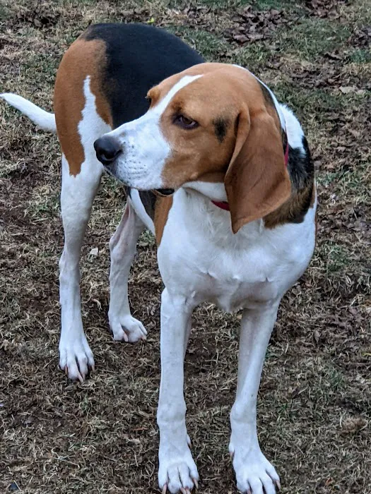 Companion Animal Care Center Picture 3