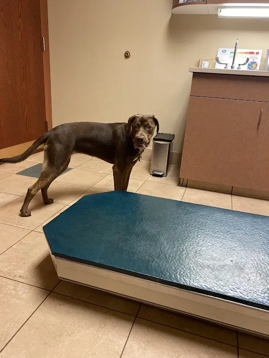 Companion Animal Care Center Picture 4
