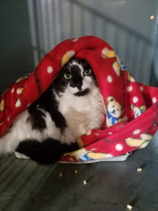 Hillcrest Veterinary Service Picture 5
