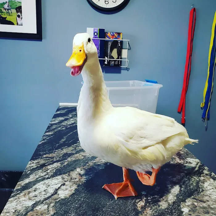 Hillcrest Veterinary Service Picture 9