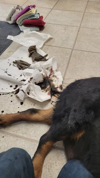 B Well Veterinary Service (FKA Douglas County Animal) Picture 5