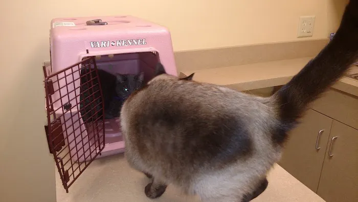Alexandria Veterinary Clinic Picture 1