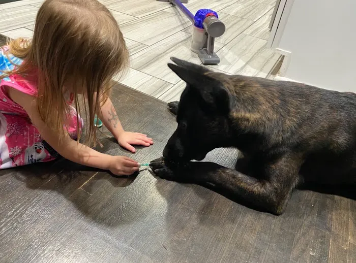Alexandria Veterinary Clinic Picture 10