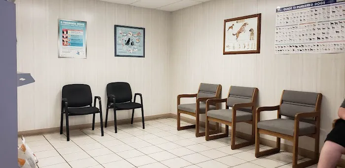 Staples Veterinary Clinic Picture 5