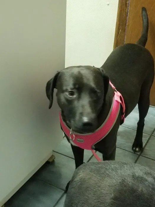 Staples Veterinary Clinic Picture 4