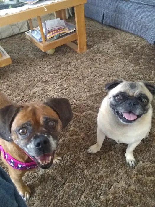 Staples Veterinary Clinic Picture 8
