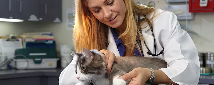 Oregon Veterinary Referral Associates Picture 2