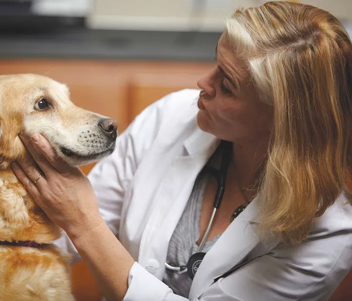 Oregon Veterinary Referral Associates Picture 10
