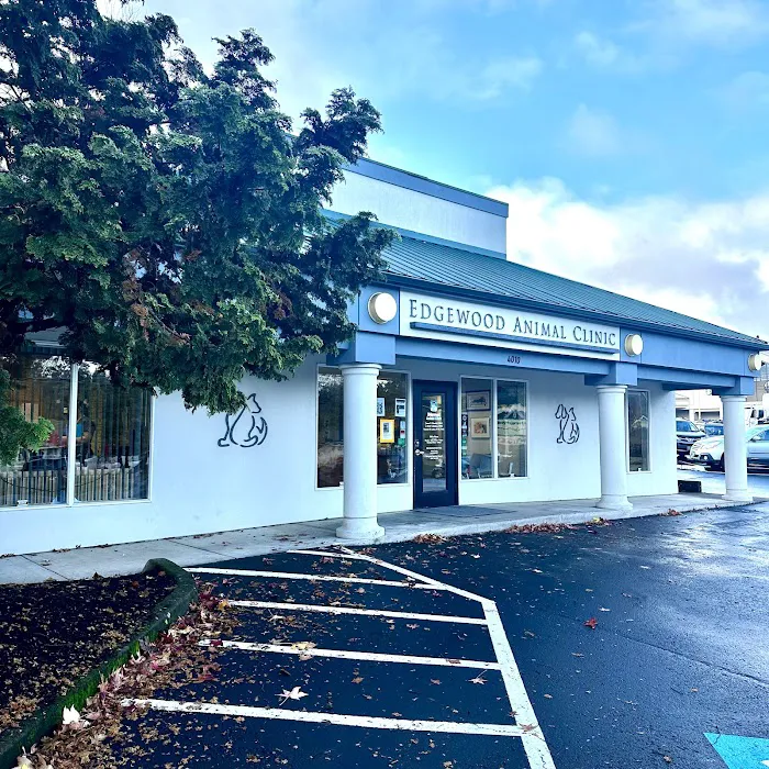 Edgewood Animal Clinic Picture 9