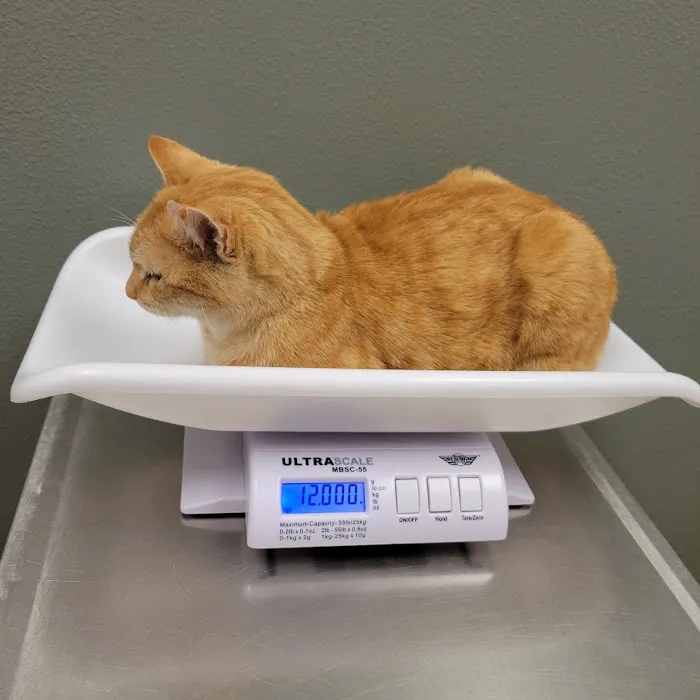 Paws 'N Claws Veterinary Clinic Picture 5
