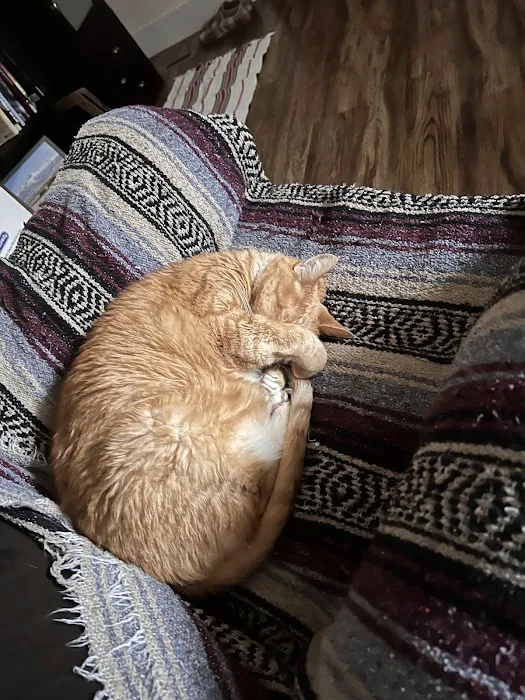 Paws 'N Claws Veterinary Clinic Picture 3