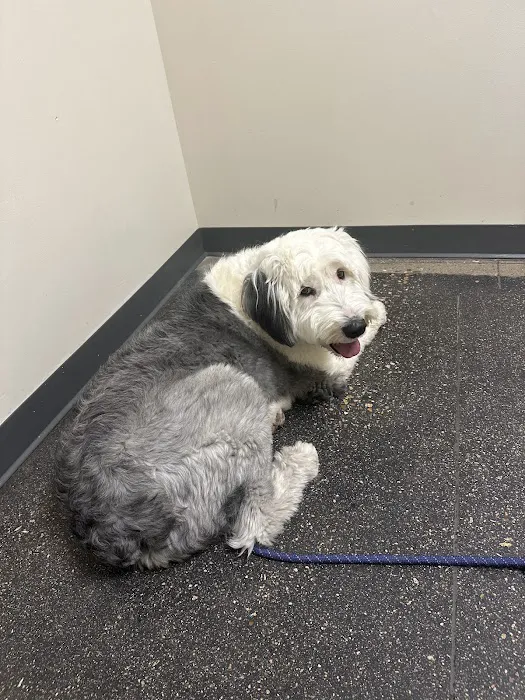 Vetco Total Care Animal Hospital Picture 1