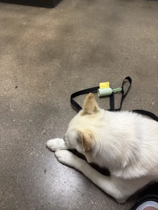 Vetco Total Care Animal Hospital Picture 3