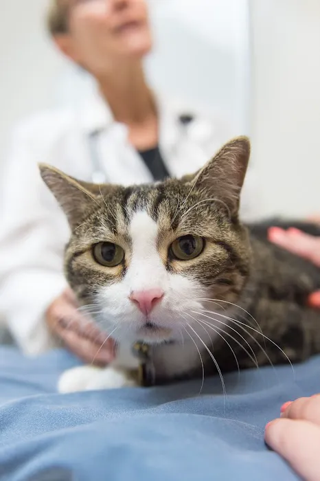 Colorado State University Veterinary Teaching Hospital Picture 2