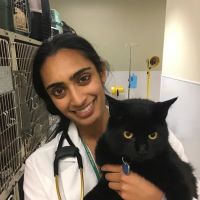 Colorado State University Veterinary Teaching Hospital ico