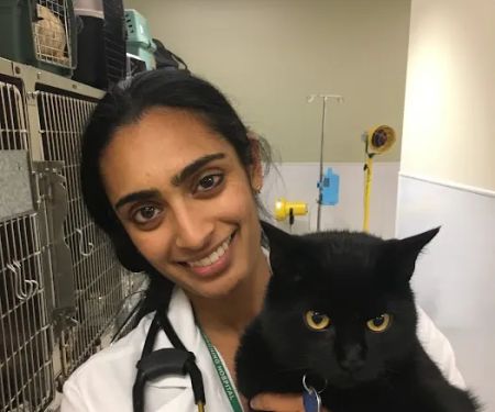 Colorado State University Veterinary Teaching Hospital