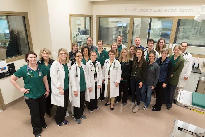 CSU Flint Animal Cancer Center Picture 2