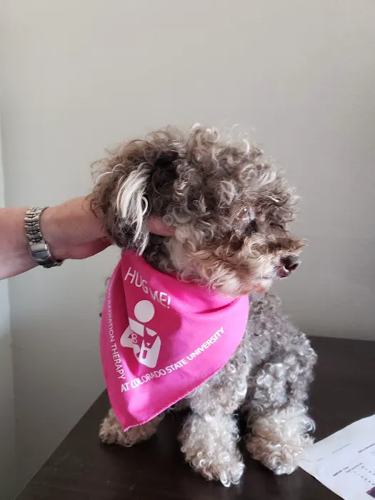 CSU Flint Animal Cancer Center Picture 5